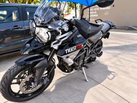 TRIUMPH