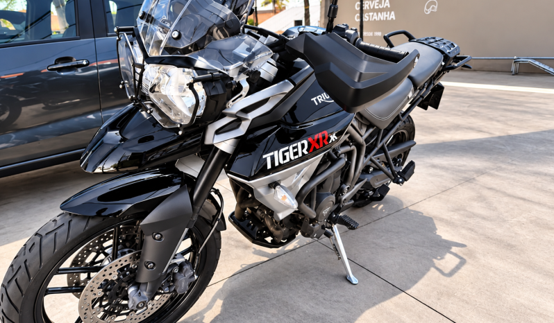 
								TRIUMPH full									