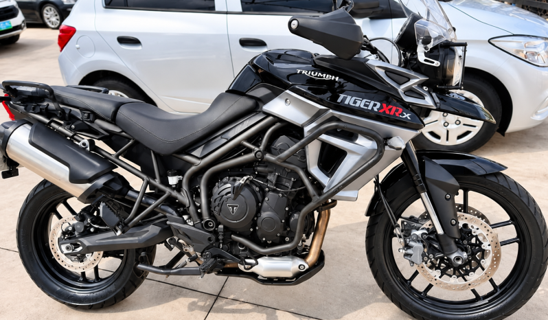 
								TRIUMPH full									