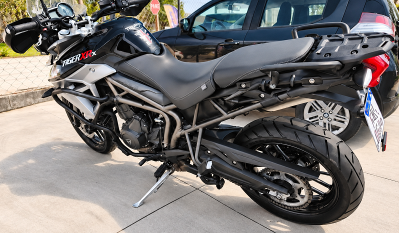 
								TRIUMPH full									